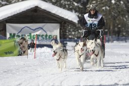 Kandersteg 2013